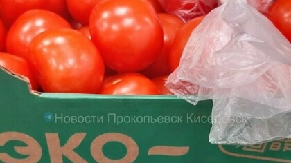 Резкий скачок цен на огурцы и помидоры до 470 рублей возмутил жительницу Кузбасса