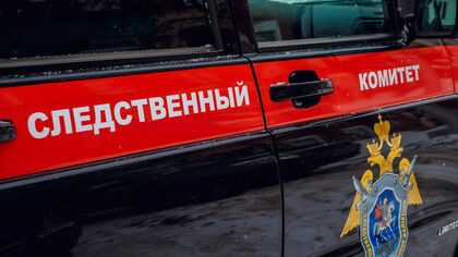 Следом возбудил уголовное дело после смерти ребенка в терминальном источнике Челябинска 