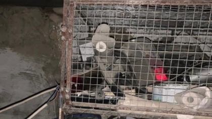 Девочка погибла от прикосновения к клетке для животных в Ставропольском крае