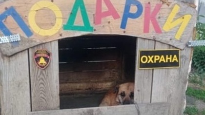 Разыскиваемый мужчина спрятался в собачьей будке в Свердловской области