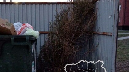 "Самые стойкие": жители кузбасского города заметили на мусорке атрибут Нового года