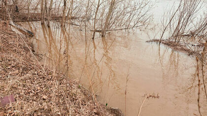 Уровень воды в реках Новокузнецка продолжил снижаться