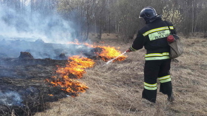 Высокая пожароопасность ожидается в Кузбассе в выходные дни 