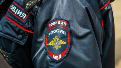Полиция раскрыла подробности убийства девочки в Ростовской области 