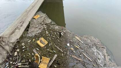 Гора мусора под мостом в Парке Жукова возмутила кемеровчанина