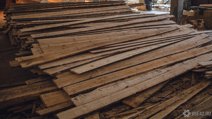 Суд приостановил работу организации по заготовке древесины в Кузбассе