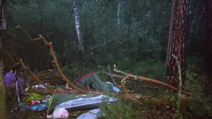 Девочка погибла после падения дерева на палатку в Челябинской области
