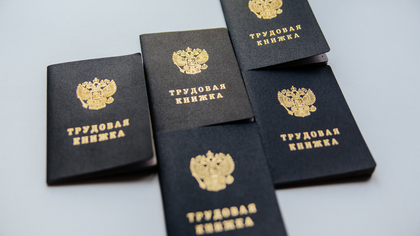 Правительство Челябинской области расширило список запретов на работу для мигрантов