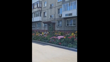 Кемеровчанин показал самый красивый двор хрущевки в городе
