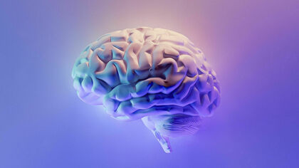 Невролог Чулкин назвал лучшие продукты для сохранения хорошей памяти