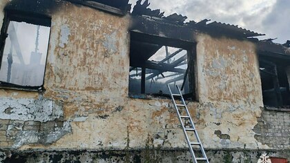 Более 60 животных погибли из-за пожара в приюте в Хабаровском крае