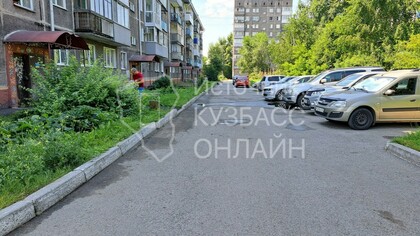 Крысы во дворе дома напугали новокузнечанку