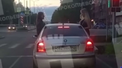 Полицейские в Кузбассе наказали шкодниц в машине