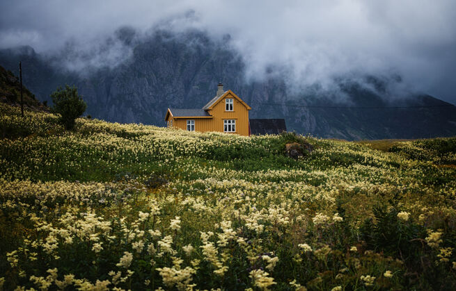 ui 5f10f13c3fec81.30431062 Как перевезти родителей в норвегию