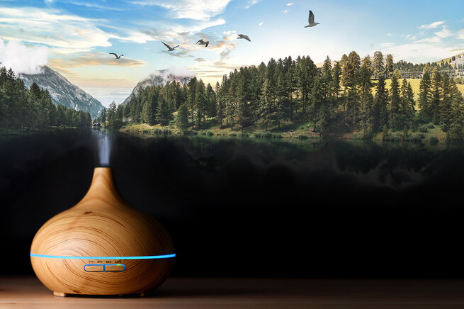 ui 5e9696e45d6874.66275585 Бризер или очиститель воздуха что лучше