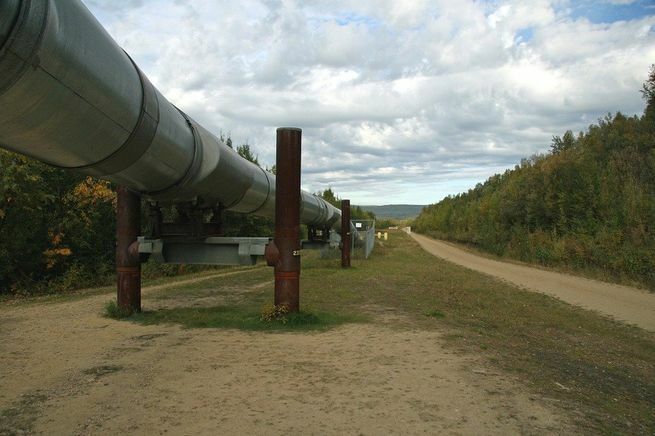 Власти Польши откажутся от российского газа - Vimarsana News
