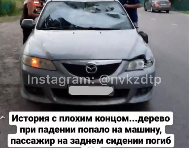 В новокузнецке упало дерево на машину