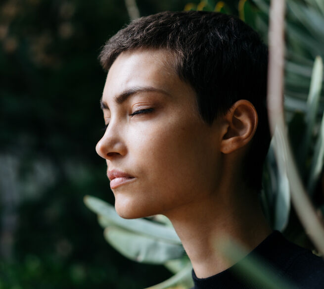 ui 5e967920816135.30010461 Бризер или очиститель воздуха что лучше