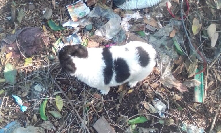 Слава спасателям