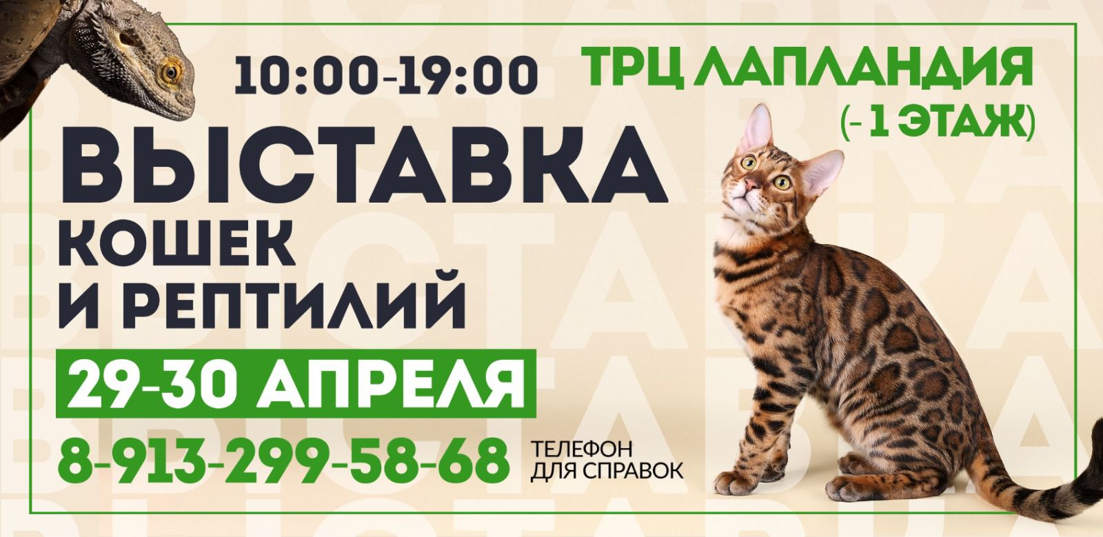 Выставка кошек и рептилий 